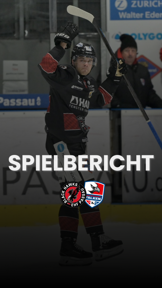 Spielbericht Heilbronn Story